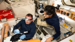 Donald Trump says he asked a favor of Elon Musk to bring back astronauts from ISS AOL Donald Trump says he asked a favor of Elon Musk to bring back astronauts from ISS AOL