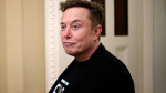 Musk Melts Down as Tesla Stock Price Plunges  Yahoo Finance Musk Melts Down as Tesla Stock Price Plunges  Yahoo Finance