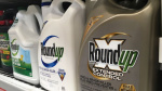 Georgia jury orders Monsanto parent to pay nearly 21 billion in Roundup weedkiller lawsuit  CNN Georgia jury orders Monsanto parent to pay nearly 21 billion in Roundup weedkiller lawsuit  CNN