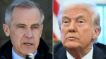 Donald Trump and Mark Carney hold talks over USCanada trade war tensions  Financial Times