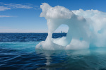 New ecosystem found after Chicagosized chunk of Antarctica breaks off  NewsNation New ecosystem found after Chicagosized chunk of Antarctica breaks off  NewsNation
