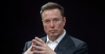 Every Penny Musk Made Since Trump Won Has Been Wiped Out  The Daily Beast Every Penny Musk Made Since Trump Won Has Been Wiped Out  The Daily Beast