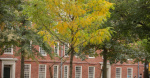Update on Presidential Task Forces  Harvard University Update on Presidential Task Forces  Harvard University