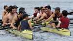 Trumps Harvard visa threat could wipe out several of the schools sports teams AP News Trumps Harvard visa threat could wipe out several of the schools sports teams AP News