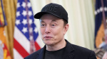 Tesla stock tanks after Trump dismisses Musks new political party plan and calls him off the rails  CNN Tesla stock tanks after Trump dismisses Musks new political party plan and calls him off the rails  CNN