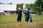 Allergies seem nearly impossible to avoid  unless youre Amish  The Boston Globe