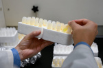 What to know about new research indicating lithium can help protect against Alzheimers disease The Boston Globe What to know about new research indicating lithium can help protect against Alzheimers disease The Boston Globe