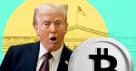 Trumps Bitcoin retirement order sets stage for billions in demand at sevenyear low supply  dlnewscom