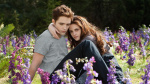 The Twilight Saga to Return to Theaters in October  The Hollywood Reporter