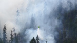 Firefighter from Oregon detained by Border Patrol while fighting wildfire Oregon Public Broadcasting OPB Firefighter from Oregon detained by Border Patrol while fighting wildfire Oregon Public Broadcasting OPB