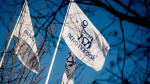Novo Nordisk and Pfizer sweeten offers for Metsera as bidding war intensifies  Financial Times