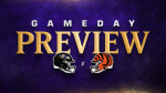 Everything You Need to Know Ravens vs Bengals  Ravens Home  Baltimore Ravens  baltimoreravenscom
