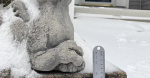 UPDATED Preliminary snow and sleet totals from around Northern Virginia  insidenovacom