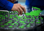 Moderna launches mRNA bird flu vaccine trial after HHS cancels funding  The Washington Post