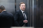 Elon Musk testifies that xAI trained Grok on OpenAI models  TechCrunch