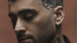Zayn Malik Cancels All US Tour Dates  Variety