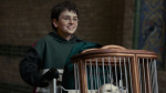 Harry Potter Scores Early Season 2 Renewal at HBO Chamber of Secrets Starts Filming This Fall  Variety