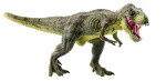 Why did Tyrannosaurus rex have such short arms  The Conversation