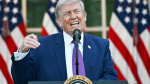 Trump Melts Down Over Reflecting Pool Reports in Wild Posting Spree  Rolling Stone