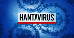 Someone in Chelan County tested positive for hantavirus  KIRO 7 News Seattle