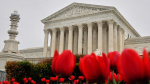 Supreme Court puts off fight over who can sue to enforce whats left of the Voting Rights Act  CNN