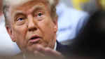 Donald Trump abruptly postpones AI order after White House infighting  Financial Times