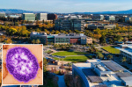 Measles case found in California after they passed through San Francisco Airport  Yahoo