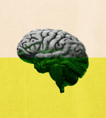 7 unexpected takeaways from the newest research on cannabis and brain effects  The Washington Post