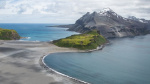 Thousands of baby seals died on two remote subAntarctic islands Scientists now think they know why  CNN