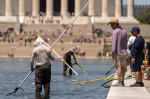 Troubled Reflecting Pool faces fresh scrutiny over vandalism claims and duck deaths  AP News