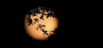 The strawberry moon will soon rise When to look up  The Washington Post