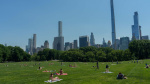 Legionnaires Outbreak Hits Upper East SideCentral Park Visitors Should Monitor For Symptoms  Forbes