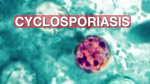 What is Cyclospora cayetanensis CDC reports parasite causing stomach illness across US including Texas  KSAT