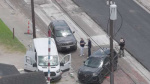 ICE agent shoot kills undocumented immigrant from Mexico during attempted arrest  Click2Houston