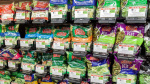 Mass wont see as many Cyclospora cases as Midwest Tufts doc says  WCVB