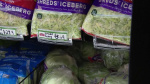 Cyclospora cases prompt questions about produce safety Utah cases not linked to national outbreak  KSLcom