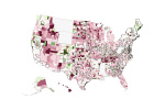 As measles cases reach record highs see your schools vaccine rates  The Washington Post
