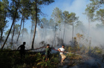 French president pledges support on visit to fire zone vows We will win this battle together  AP News