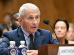 Why did Anthony Fauci invoke the Fifth Amendment Senate hearing explained  Al Jazeera