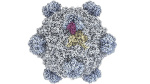 AI creates first synthetic viruses  Financial Times