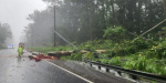 At least one killed as Hurricane Lala slams Hawaiian Islands with violent flash flooding sweeping homes away  FOX Weather