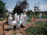 Ebola outbreak in DR Congo becomes deadliest in countrys history  Al Jazeera