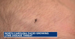 Ticks carrying Lyme disease are gaining ground in North Carolina study finds  WRAL