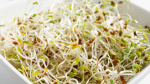 E coli and salmonella outbreak linked to alfalfa sprouts sickens dozens across multiple states  Fox Business