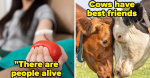 People Are Sharing Beautiful DayBrightening Facts That Sound Totally Made Up But Are Actually 100 True  BuzzFeed
