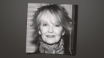 Shelley Fabares Star of The Donna Reed Show and Coach Dies at 82  The Hollywood Reporter