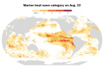 The ocean just broke a temperature record that may have stood for millennia  The Washington Post