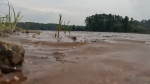 NC teen has rare brain infection likely caused by swimming Where did exposure happen Are you safe  WRAL