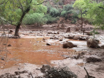 Oner person dead about 15 more may be missing after Grand Canyon flash flooding  The Washington Post