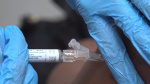 Leading medical groups update flu COVID vaccine recommendations amid confusion  The Hill